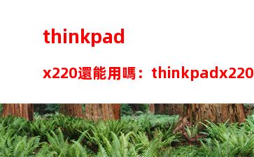 thinkpadx220還能用嗎：thinkpadx220指紋設置