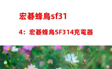 宏碁蜂鳥sf314：宏碁蜂鳥SF314充電器