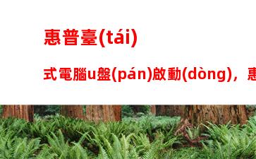 惠普臺(tái)式電腦u盤(pán)啟動(dòng)，惠普臺(tái)式電腦U盤(pán)啟動(dòng)后顯示英文是