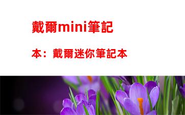 戴爾mini筆記本：戴爾迷你筆記本