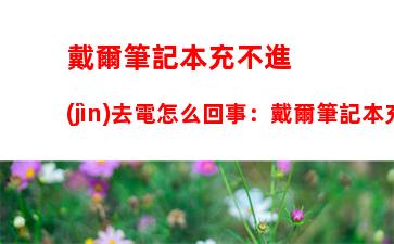 戴爾筆記本充不進(jìn)去電怎么回事：戴爾筆記本充不進(jìn)去電是什么原因