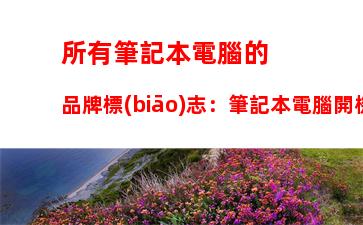 所有筆記本電腦的品牌標(biāo)志：筆記本電腦開機只有品牌標(biāo)志