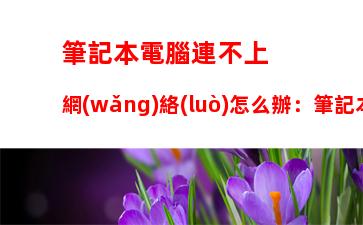 筆記本電腦連不上網(wǎng)絡(luò)怎么辦：筆記本電腦突然連不上網(wǎng)絡(luò)怎么辦