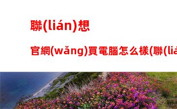 聯(lián)想官網(wǎng)買電腦怎么樣(聯(lián)想實體店買電腦怎么樣)