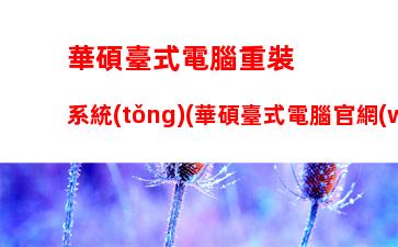 華碩臺式電腦重裝系統(tǒng)(華碩臺式電腦官網(wǎng))