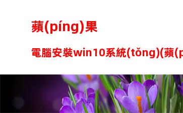 蘋(píng)果電腦安裝win10系統(tǒng)(蘋(píng)果電腦安裝win10系統(tǒng)教程)