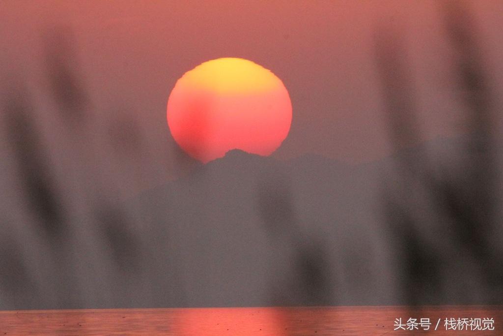 真漂亮！佳能60D騰龍150 600拍的最美不過夕陽紅，溫馨又從容