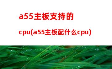 a58主板最大支持cpu(a58主板參數(shù))