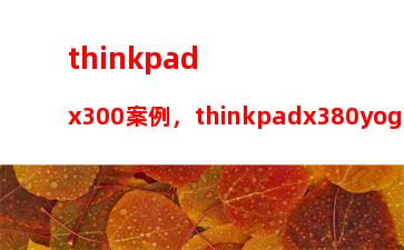 thinkpadx300案例，thinkpadx380yoga